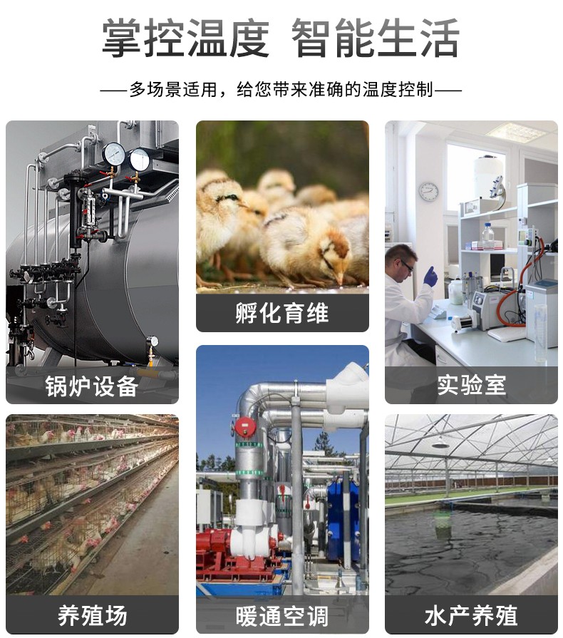 數(shù)顯溫控儀(圖10)