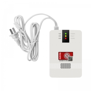 燃?xì)鈭缶鲙чy門