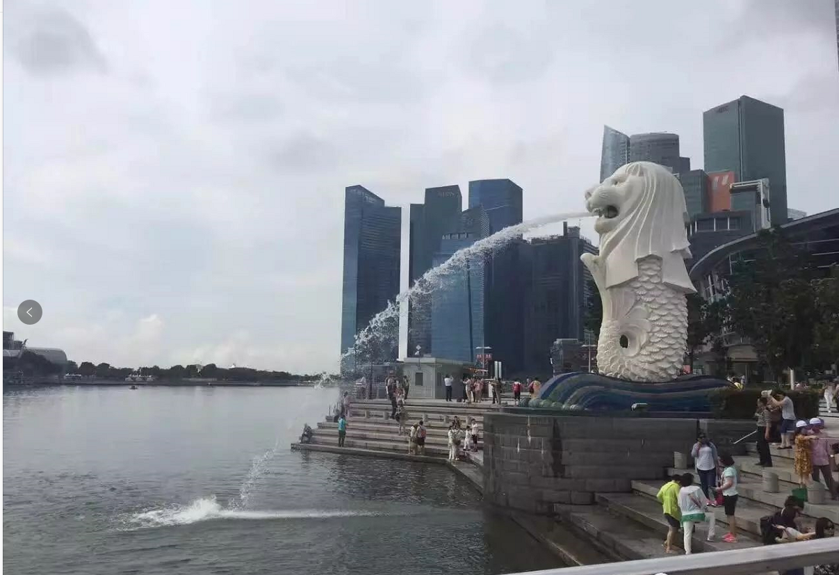 2019年-新加坡之旅(圖2) 2019年-新加坡之旅(圖2)